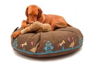 15_Petbag_rolunk