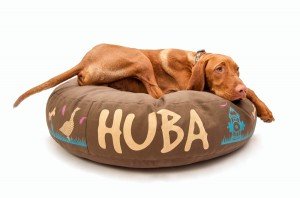 Huba
